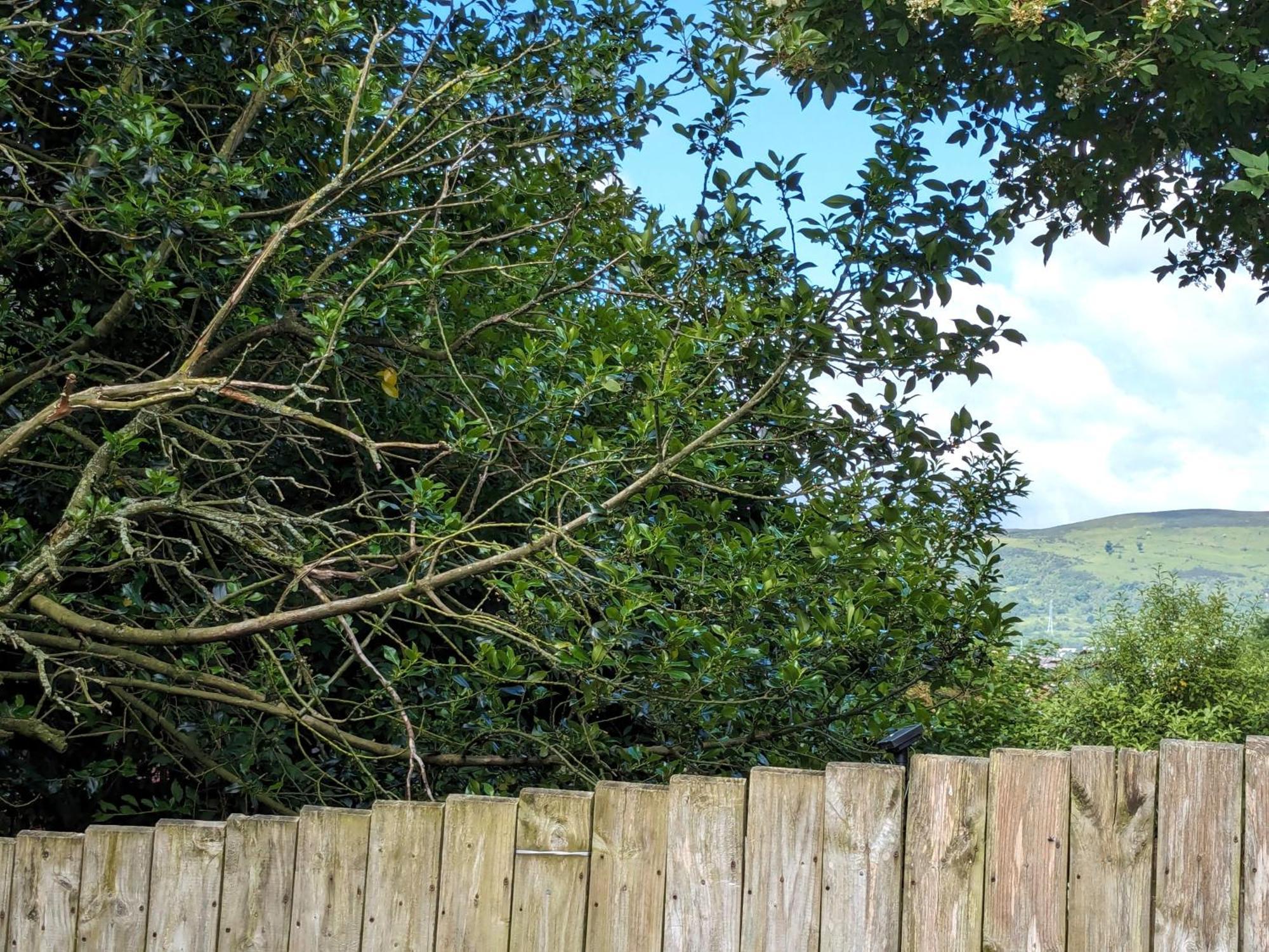 Heart Of Belfast With Private Garden Villa ภายนอก รูปภาพ